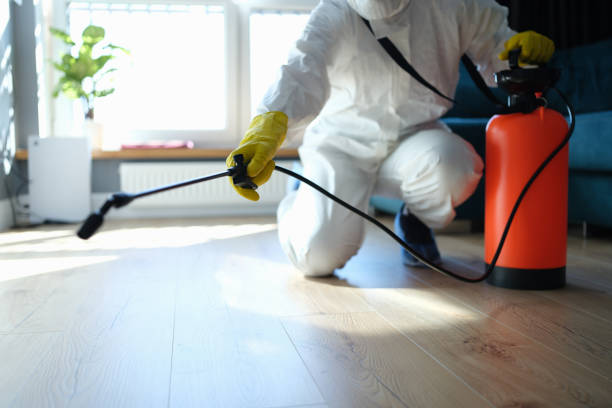 Reliable Odor Removal contractor in North Brunswick, NJ by Trauma Clean Pros